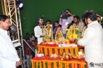 Gautamiputra Satakarni Movie Opening